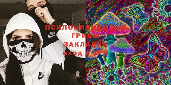spice Алексин