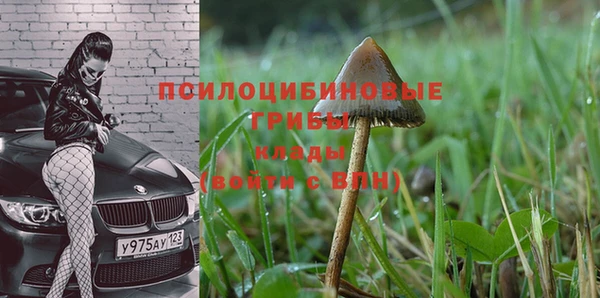 молекула духа Алзамай