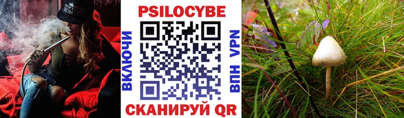 блэк спрут вход  купить   Гусь-Хрустальный  Галлюциногенные грибы GOLDEN TEACHER 