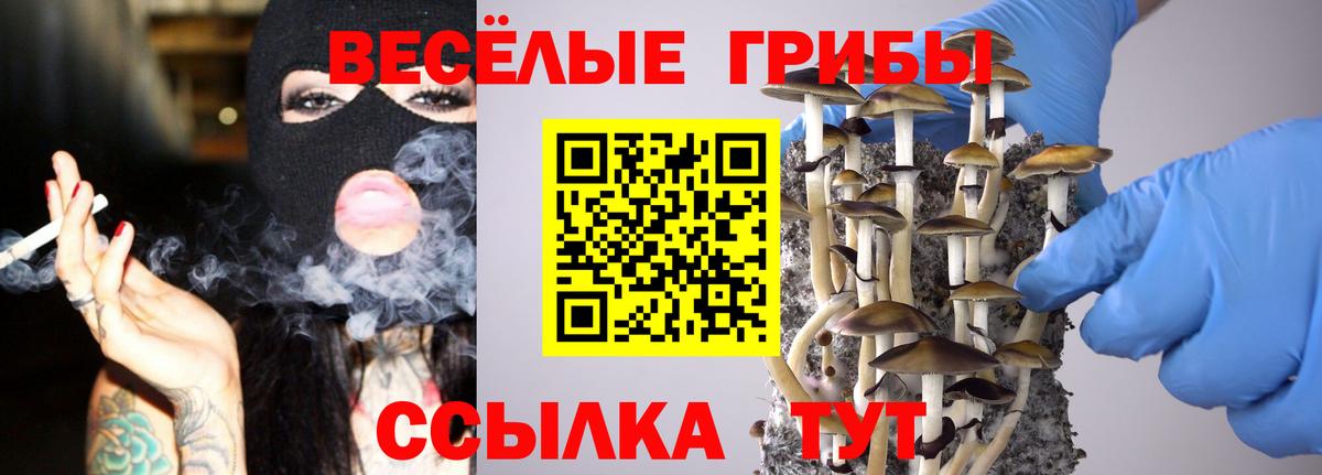 Псилоцибиновые грибы Psilocybe  Вход с VPN  Гусь-Хрустальный 