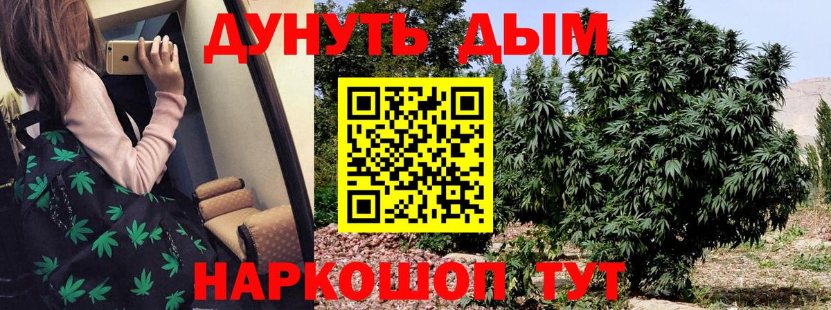 Бошки марихуана AK-47  Вход с VPN  Бошки марихуана план  Шишки марихуана семена  Каннабис ГИДРОПОН  Гусь-Хрустальный 